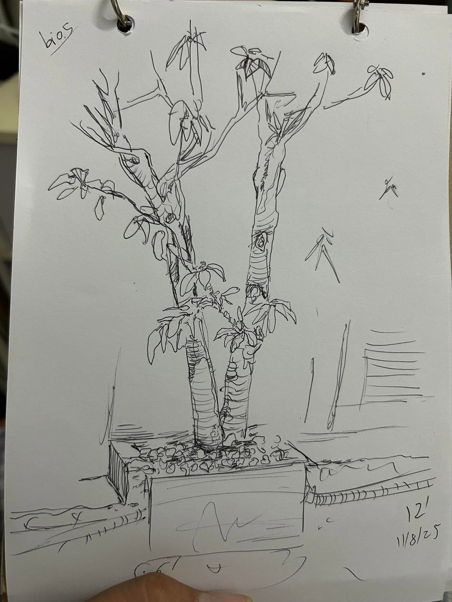 A Tree, Held in a Minute